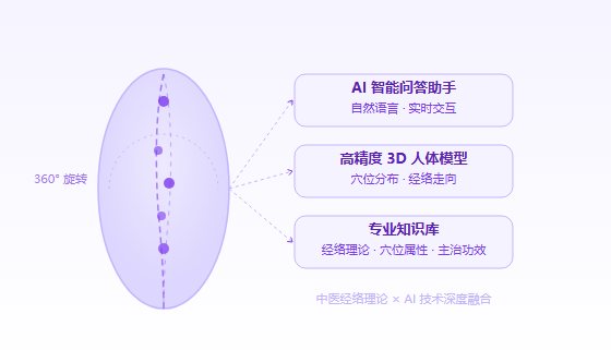 智能中医穴位学习系统